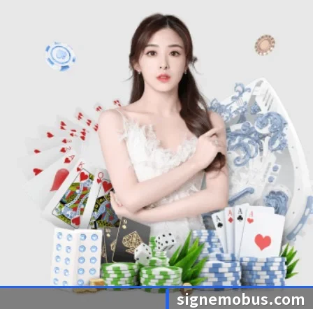 ayx体育官网 APP